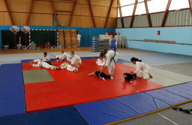 Gymnase et dojo